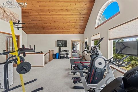 Tiny photo for 510 Banner Trail, Florissant, CO 80816 (MLS # 1889166)