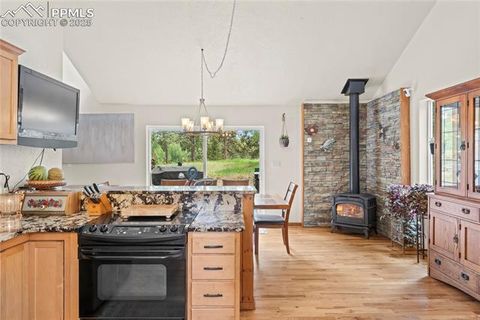Tiny photo for 510 Banner Trail, Florissant, CO 80816 (MLS # 1889166)