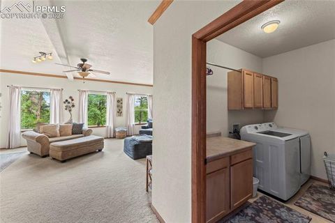 Tiny photo for 510 Banner Trail, Florissant, CO 80816 (MLS # 1889166)