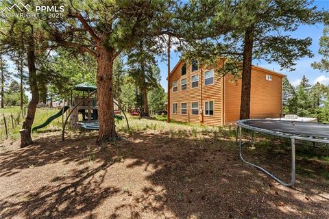 Tiny photo for 510 Banner Trail, Florissant, CO 80816 (MLS # 1889166)