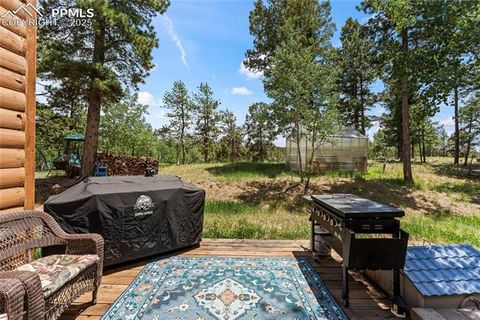 Tiny photo for 510 Banner Trail, Florissant, CO 80816 (MLS # 1889166)