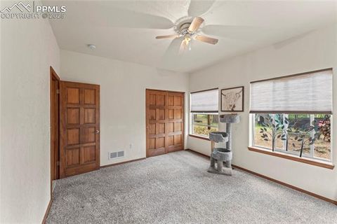 Tiny photo for 510 Banner Trail, Florissant, CO 80816 (MLS # 1889166)