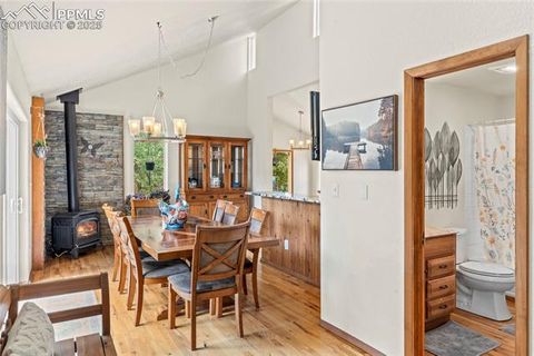 Tiny photo for 510 Banner Trail, Florissant, CO 80816 (MLS # 1889166)