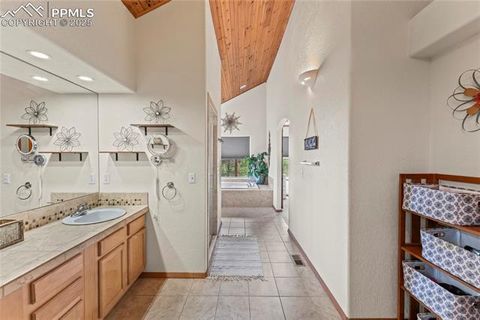 Tiny photo for 510 Banner Trail, Florissant, CO 80816 (MLS # 1889166)