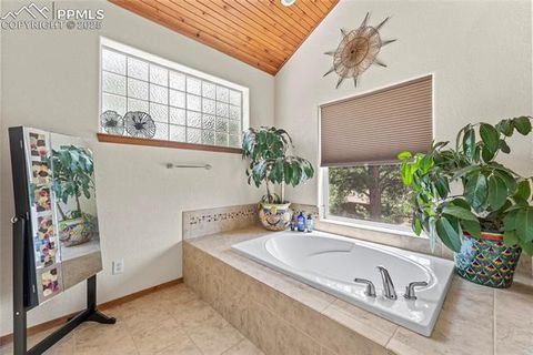 Tiny photo for 510 Banner Trail, Florissant, CO 80816 (MLS # 1889166)