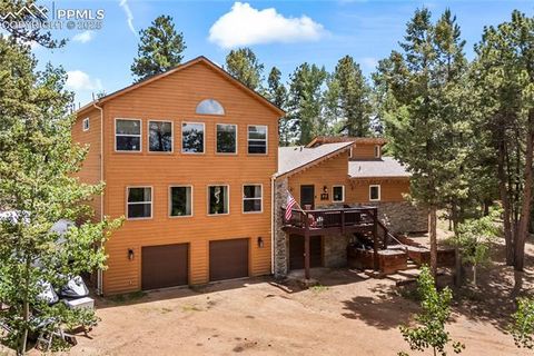 Tiny photo for 510 Banner Trail, Florissant, CO 80816 (MLS # 1889166)