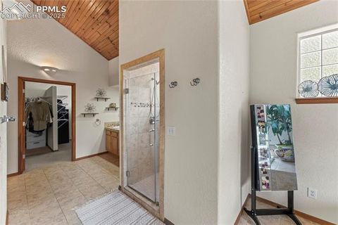 Tiny photo for 510 Banner Trail, Florissant, CO 80816 (MLS # 1889166)