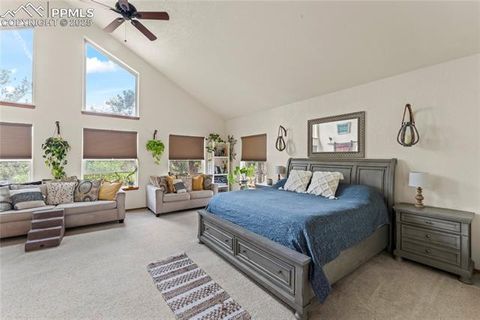 Tiny photo for 510 Banner Trail, Florissant, CO 80816 (MLS # 1889166)