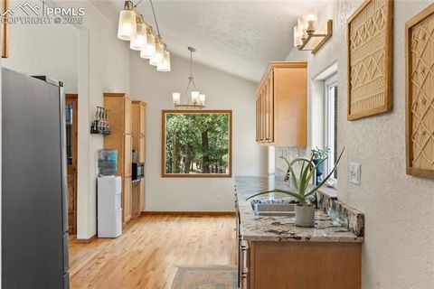 Tiny photo for 510 Banner Trail, Florissant, CO 80816 (MLS # 1889166)
