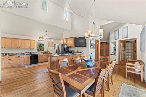Tiny photo for 510 Banner Trail, Florissant, CO 80816 (MLS # 1889166)