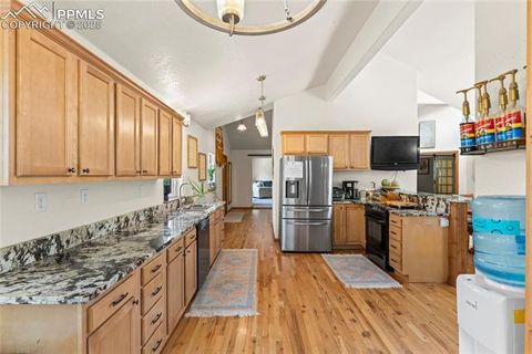 Tiny photo for 510 Banner Trail, Florissant, CO 80816 (MLS # 1889166)
