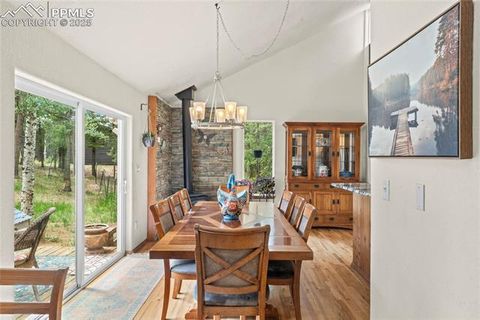 Tiny photo for 510 Banner Trail, Florissant, CO 80816 (MLS # 1889166)
