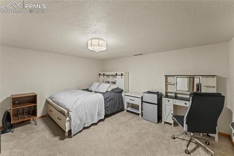 Tiny photo for 510 Banner Trail, Florissant, CO 80816 (MLS # 1889166)