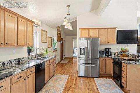 Tiny photo for 510 Banner Trail, Florissant, CO 80816 (MLS # 1889166)