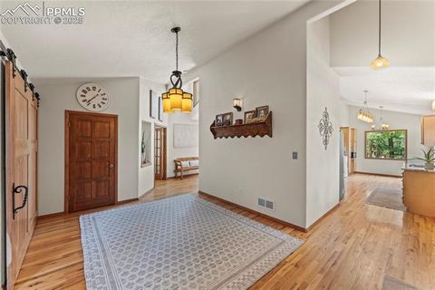 Tiny photo for 510 Banner Trail, Florissant, CO 80816 (MLS # 1889166)