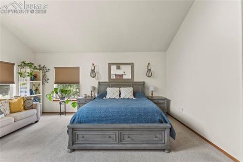 Tiny photo for 510 Banner Trail, Florissant, CO 80816 (MLS # 1889166)