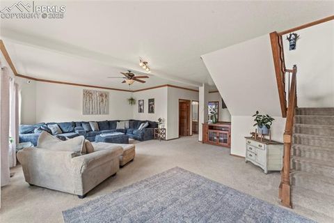 Tiny photo for 510 Banner Trail, Florissant, CO 80816 (MLS # 1889166)