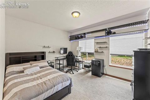 Tiny photo for 510 Banner Trail, Florissant, CO 80816 (MLS # 1889166)
