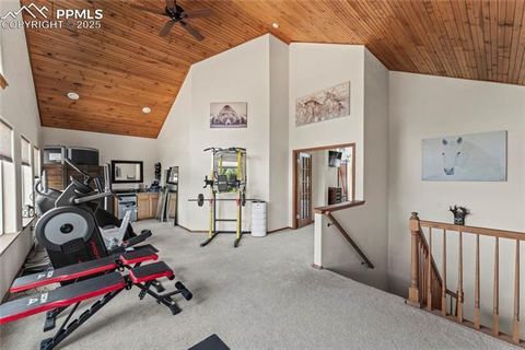 Tiny photo for 510 Banner Trail, Florissant, CO 80816 (MLS # 1889166)