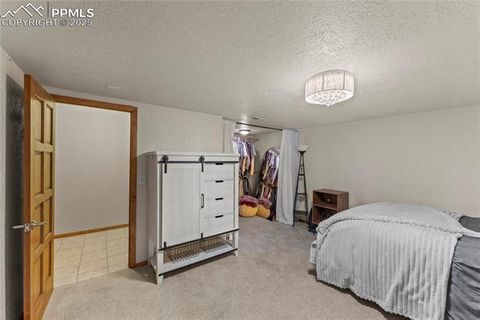 Tiny photo for 510 Banner Trail, Florissant, CO 80816 (MLS # 1889166)