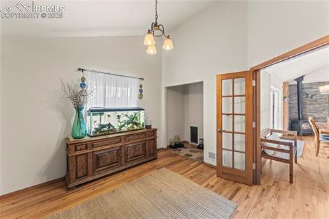 Tiny photo for 510 Banner Trail, Florissant, CO 80816 (MLS # 1889166)