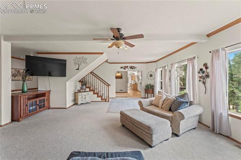 Tiny photo for 510 Banner Trail, Florissant, CO 80816 (MLS # 1889166)