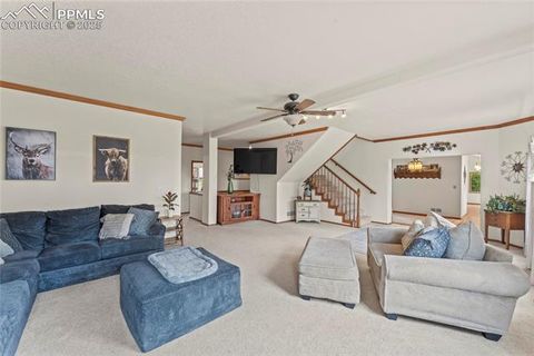 Tiny photo for 510 Banner Trail, Florissant, CO 80816 (MLS # 1889166)