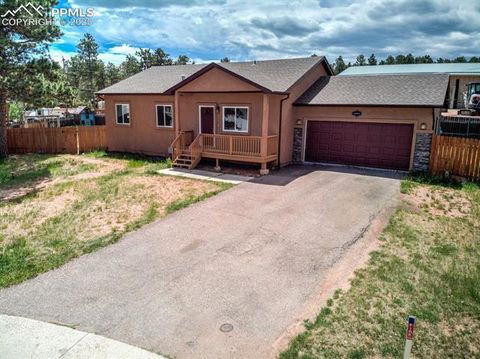 Photo of 661 Calico Court, Woodland Park, CO 80863 (MLS # 6053552)