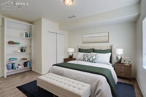 Tiny photo for 661 Calico Court, Woodland Park, CO 80863 (MLS # 6053552)