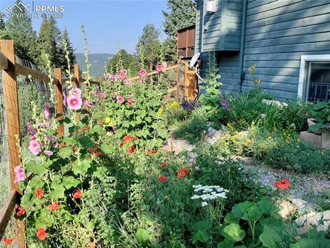 Tiny photo for 2988 Sunnywood Avenue, Woodland Park, CO 80863 (MLS # 6460115)