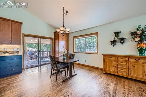 Tiny photo for 2988 Sunnywood Avenue, Woodland Park, CO 80863 (MLS # 6460115)