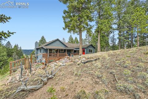 Tiny photo for 2988 Sunnywood Avenue, Woodland Park, CO 80863 (MLS # 6460115)