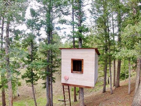 Tiny photo for 2988 Sunnywood Avenue, Woodland Park, CO 80863 (MLS # 6460115)