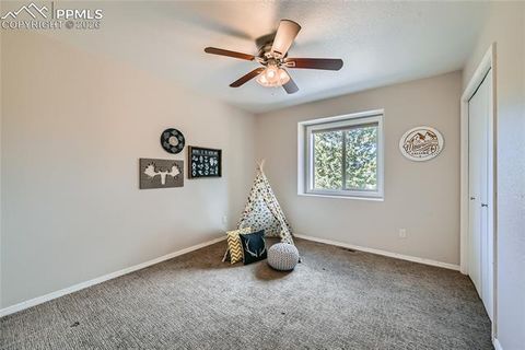Tiny photo for 2988 Sunnywood Avenue, Woodland Park, CO 80863 (MLS # 6460115)