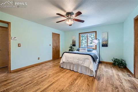 Tiny photo for 2988 Sunnywood Avenue, Woodland Park, CO 80863 (MLS # 6460115)