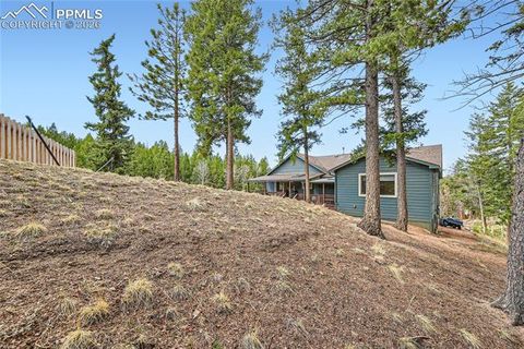 Tiny photo for 2988 Sunnywood Avenue, Woodland Park, CO 80863 (MLS # 6460115)