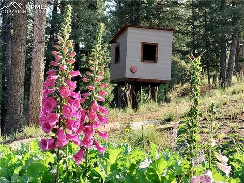 Tiny photo for 2988 Sunnywood Avenue, Woodland Park, CO 80863 (MLS # 6460115)