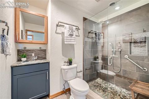 Tiny photo for 2988 Sunnywood Avenue, Woodland Park, CO 80863 (MLS # 6460115)