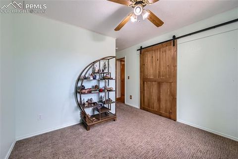 Tiny photo for 2988 Sunnywood Avenue, Woodland Park, CO 80863 (MLS # 6460115)