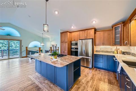 Tiny photo for 2988 Sunnywood Avenue, Woodland Park, CO 80863 (MLS # 6460115)