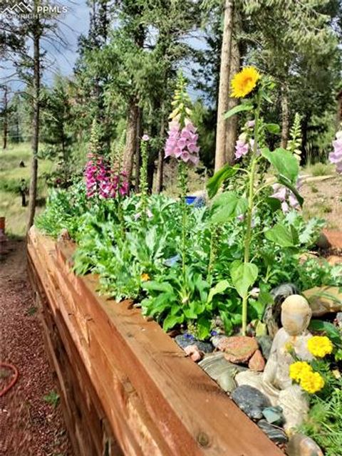 Tiny photo for 2988 Sunnywood Avenue, Woodland Park, CO 80863 (MLS # 6460115)