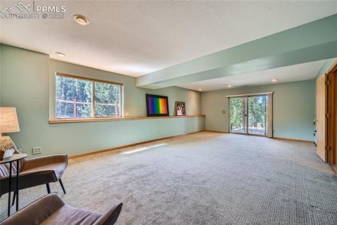 Tiny photo for 2988 Sunnywood Avenue, Woodland Park, CO 80863 (MLS # 6460115)