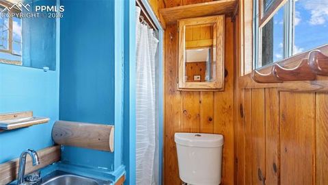 Tiny photo for 10345 Aspen Street, Green Mountain Falls, CO 80819 (MLS # 4405983)