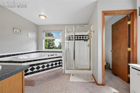 Tiny photo for 82 Apache Creek Drive, Florissant, CO 80816 (MLS # 5012996)