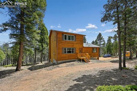 Tiny photo for 82 Apache Creek Drive, Florissant, CO 80816 (MLS # 5012996)