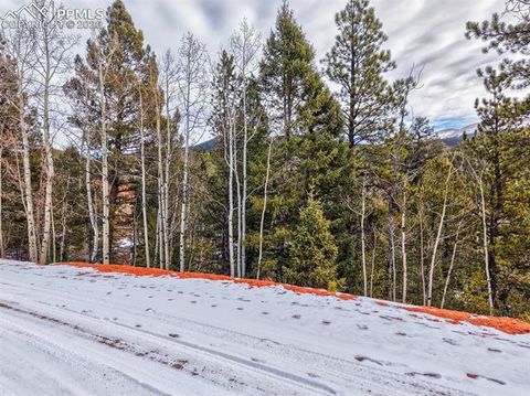 Photo of 1181 Calcite Drive, Divide, CO 80814 (MLS # 5129107)