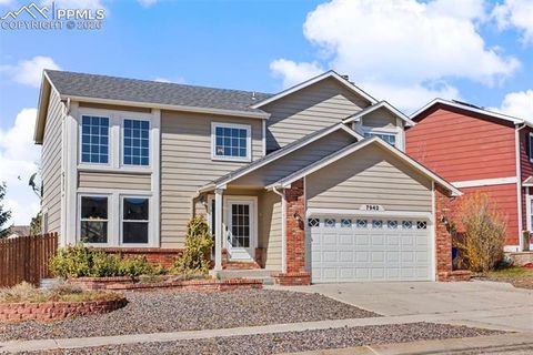 Photo of 7942 French Road, Colorado Springs, CO 80920 (MLS # 7195928)