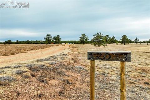 Photo of 12077 County Road 1, Florissant, CO 80816 (MLS # 9005654)
