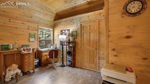 Tiny photo for 155 Squilchuk Trail, Woodland Park, CO 80863 (MLS # 6827038)