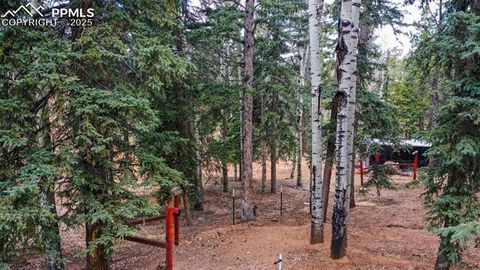 Tiny photo for 155 Squilchuk Trail, Woodland Park, CO 80863 (MLS # 6827038)